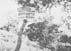 Innitzer33_26-5140
